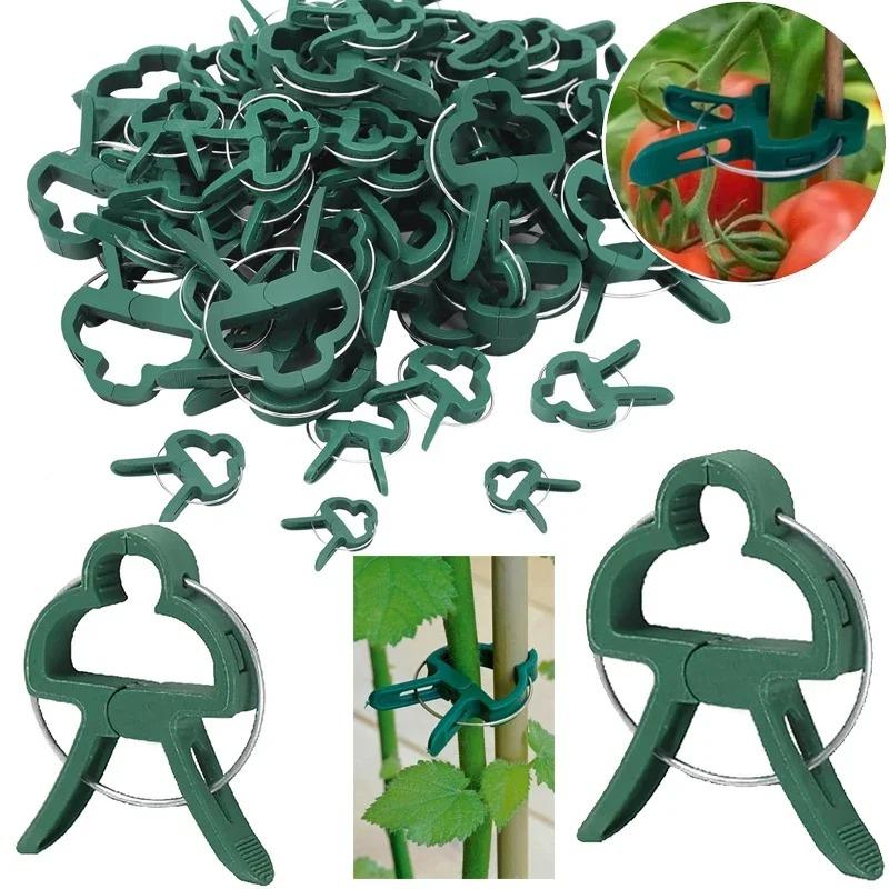 Plant Fixed Clips Reusable Garden Greenhouse Bracket Seedling Stem Support Fastener Garden Climbing Vines Vegetables Fixed Tool
