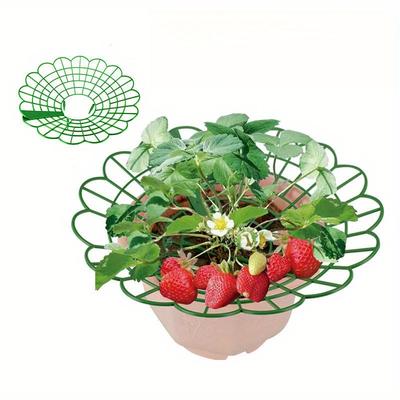 5/10 Stück Erdbeerpflanzenstützen mit drei stabilen Beinen bieten Schutz für Erdbeeren vor Schimmel, Fäulnis und Schmutz