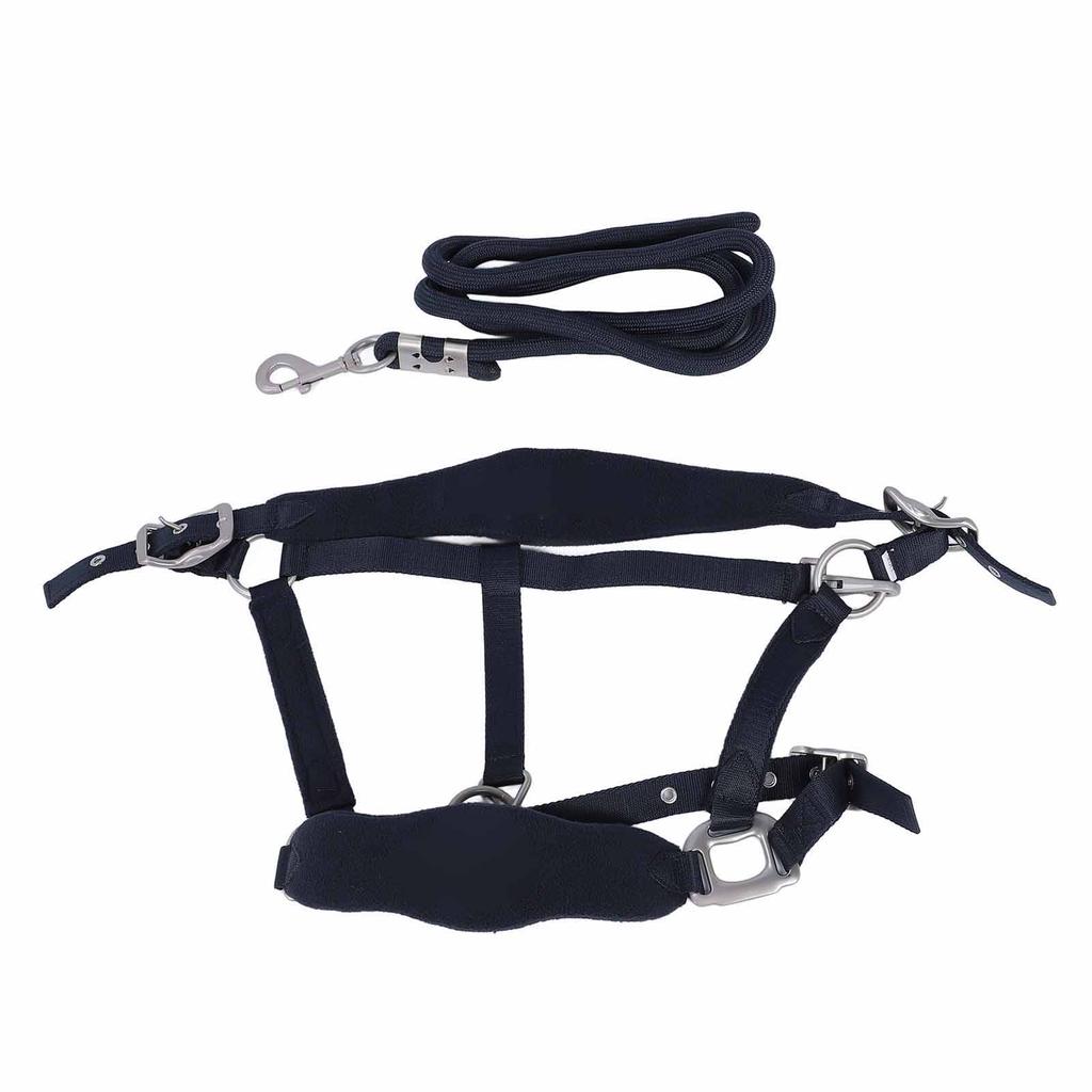 Horse Halter Set Prevent Rubbing Adjustable Horse Training Halter with 2m Horse Leash for Training Daily