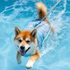 Multiuse Dog Swim Suit Pet Swimwear For Outdoor Training And Water Activity Protective Swimwear for Small Breeds