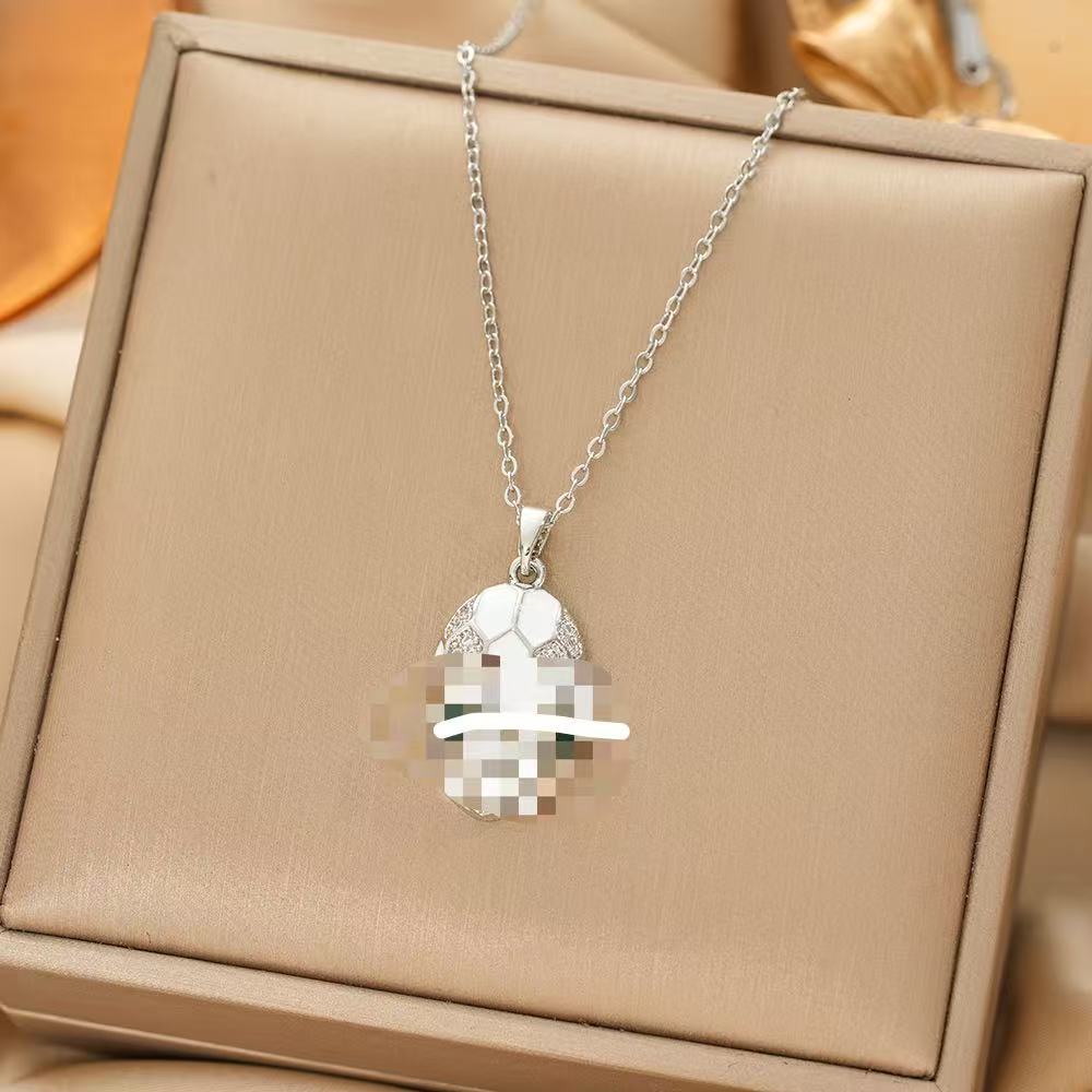 Japan and South Korea Simple Popular Wind Titanium Steel Necklace Female Niche Exquisite Internet Celebrity Zircon Clavicle Chain High-end Jewelry