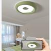Modern Led Ceiling Light Green Surface Mounted Ceiling Lamp Bedroom Living Room Brightness Panel Light