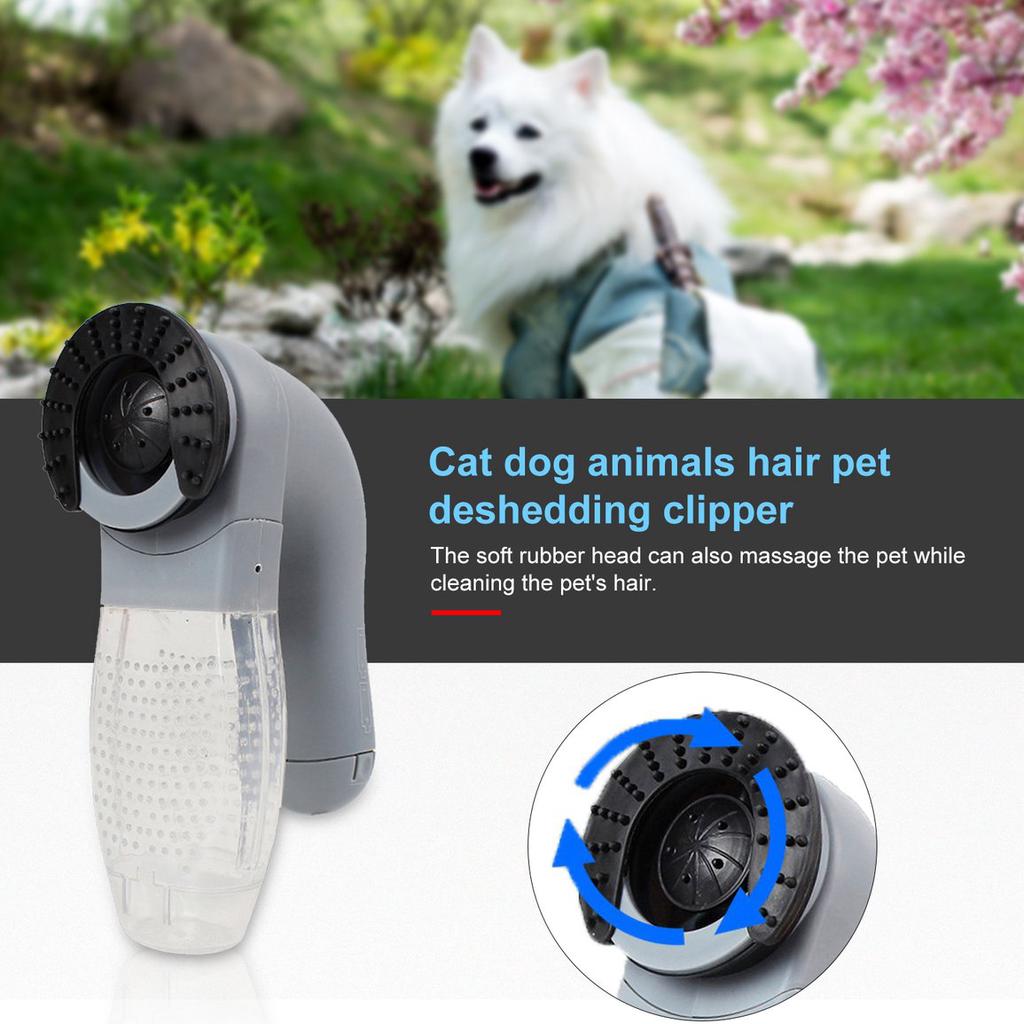 clipper vac grooming