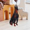 Realistic Simulation Doberman Dog Ornament Plastic Animal Decoration for Kids Room Nursery Home Desktop Vivid Lifelike Animal