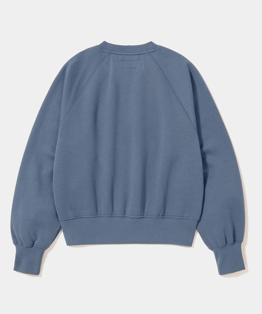 COLUMBIA UNIVERSITY 8Bit Crop Fleece Women Crew Neck _Dust Blue