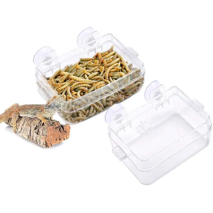 Reptile Feeder Chameleon Bowl 2 Pcs Anti-Escape Food Dish Bowl with Suction Cup for Chameleon Iguana Lizard Reptile Food and Water Feeding (White, S)