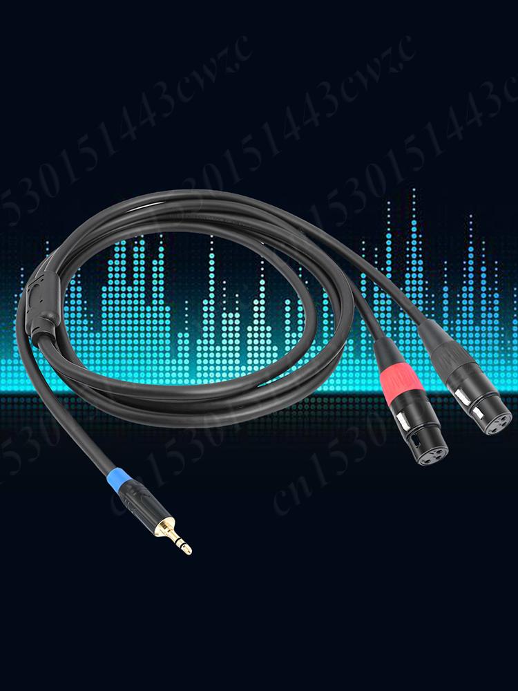 3.5mm To Dual Female XLR Y-Splitter Cable Male To Female 3.5mm To Dual XLR Breakout Y Splitter Cable Gold-Plated Plug