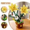 Non-Toxic 296Pcs Lily Flower Potted Plant Building Block Flower Model Puzzle Toys Sets New Year Christmas Birthday Gifts