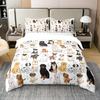 Roupa de cama – Conjuntos de roupa de cama
