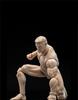 Scale Action Male Body Normal White Muscular Male Body Flexible Miniature Action Figure Body Doll Collection 1/12 Figure, 6-Inch Model, Skin, Model,