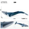 Solid Blue Whale Marine Life Model, Realistic Plastic Ocean Figure Wholesale Early Education