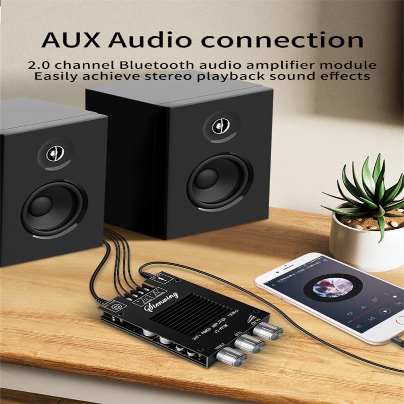 Cheap 150W x 2 Audio Power Amplifier Module