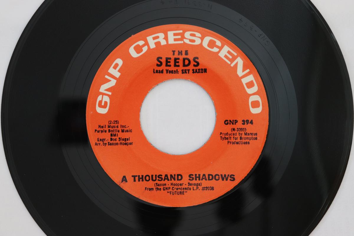 

7inch Record SEEDS - A Thousand Shadows GNP394 GNP Crescendo 1967 US Rock Used