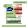 Vaseline Classic Repair Avocado Lippenbalsam 5er-Pack