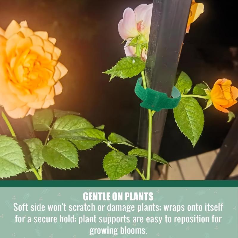 10/50/100/200pcs Reusable Adjustable Non-Slip Nylon Plant Ties with Hook and Loop Fasteners, Ideal for Gardening Applications
