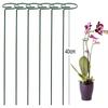 Für Kletterpflanzen Pflanzenstäbe für Blumen Einzelne Lilie Pfingstrose