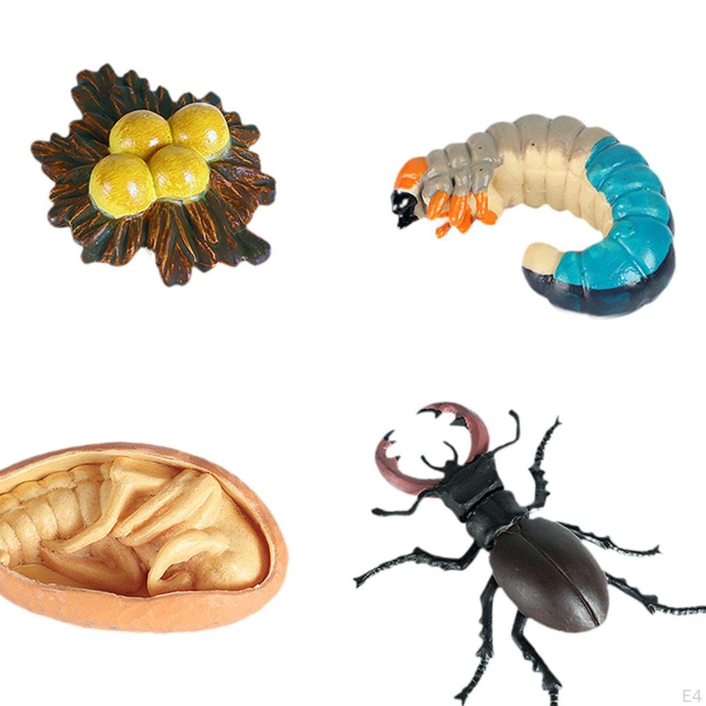 Animal Model Toy Worms Growth Cycle Ornaments Educational Set for Kindergarten Boys Children