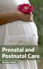 The Prenatal and Postnatal Care Book