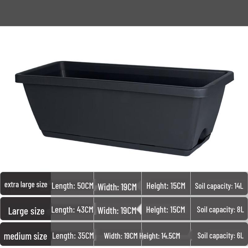Cindyn Rectangular Rice Storage Container