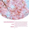 Cherry Blossom Extract Eye Mask Anti-Wrinkle Eye Patches Fade Fine Line Remove Dark Circle Bag Anti-Puffiness Moisturizing Brighten Skin Care