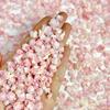 Hot-Selling Floral Color Nail Art Kit Luminous Resin Spring Fresh Nail Art Accessories