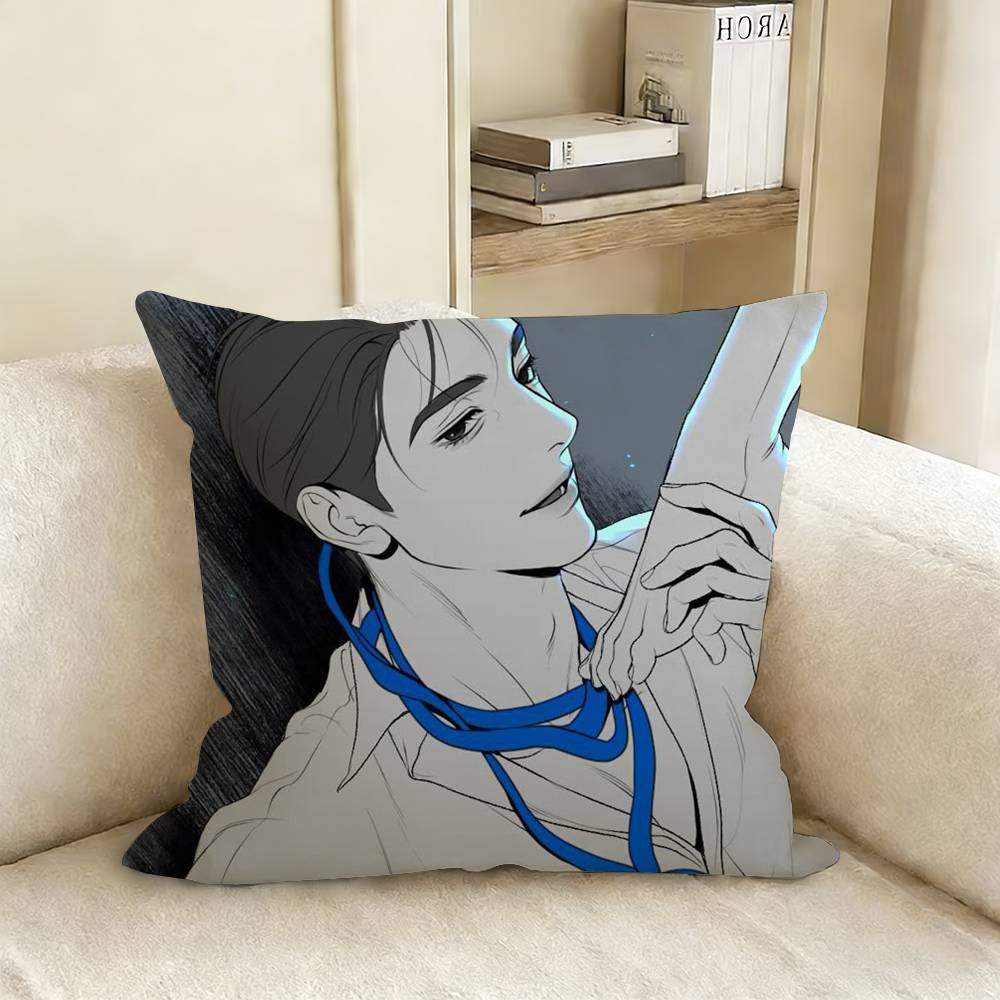 Anime B-Bj A-Alexes Various Sizes Square Pillow Case For Car Home Bedchamber Decor