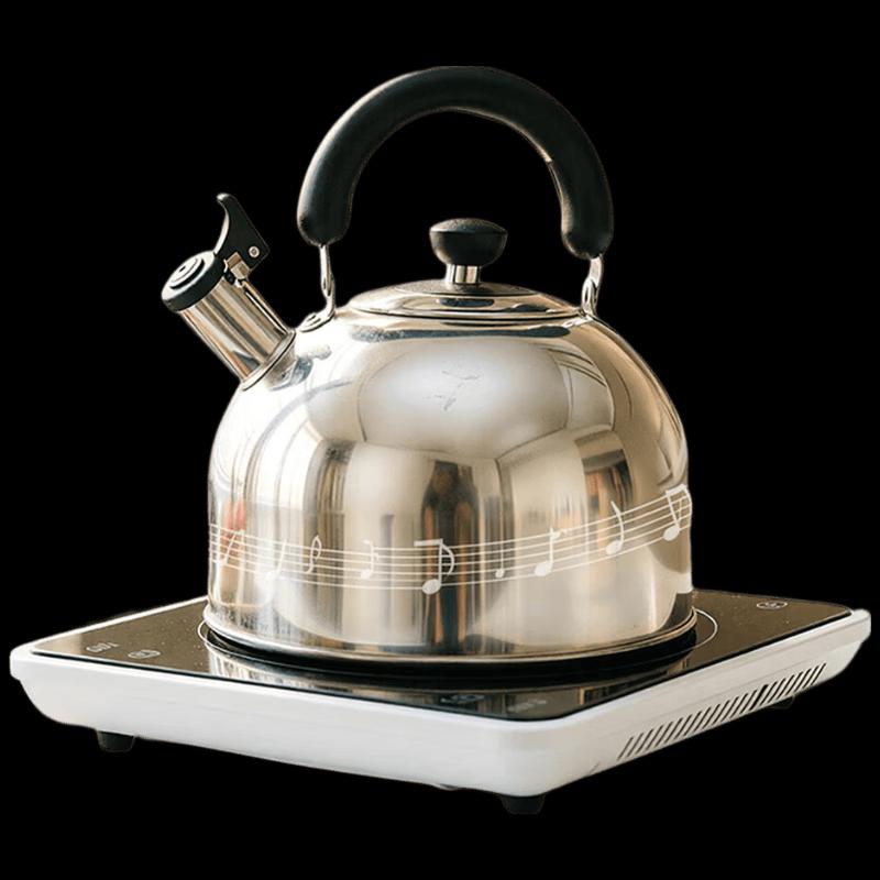 MAXCOOK 5L 304 Stainless Steel Whistling Kettle