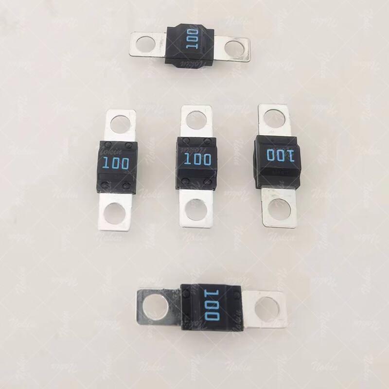 Dongfeng Warrior 100A Large Automotive Fuse