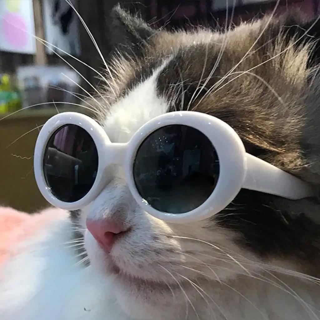 1pc-Cat Glasses Cool Pet  Fashion Round Glasses Pet Product For Pet Dog Cat Sunglasses For Photography Pet Accessories