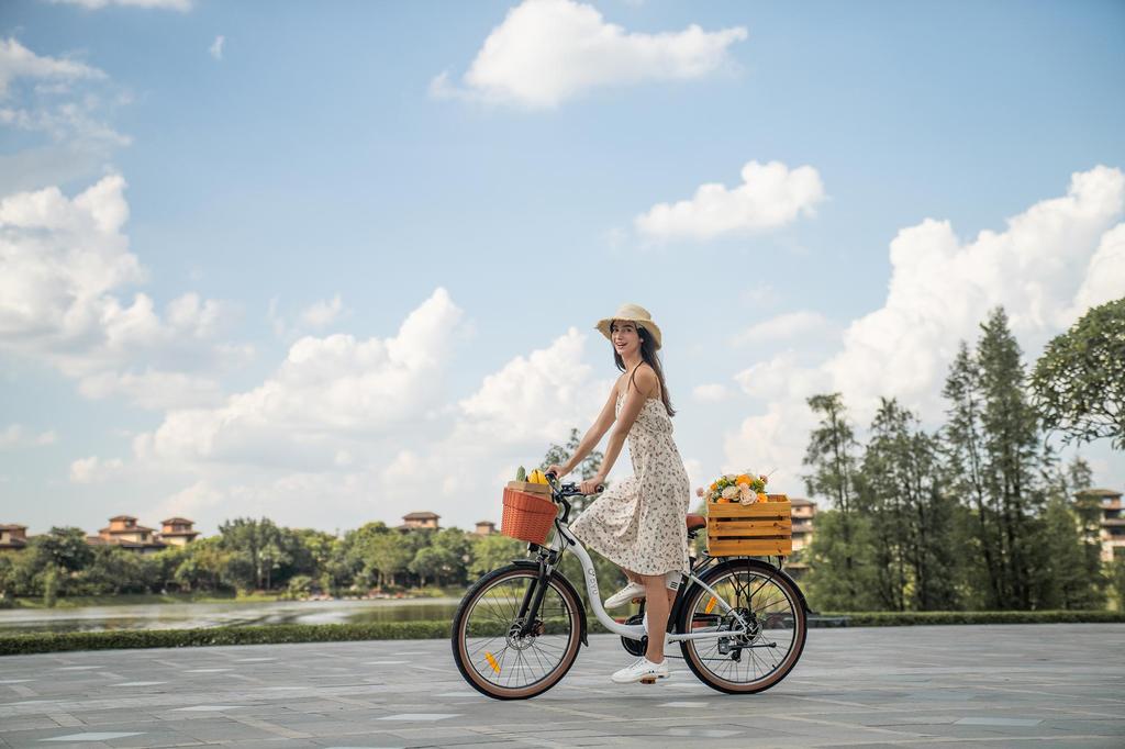 DYU C6 PRO Electric City Bike 36V 15.6Ah Battery, 250W Motor, Range 80 KM, Max Speed 25 km/h, 26*2.125 Inch Tires, E-Bike