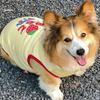 Breathable Dog Vest Strawberry Pattern Cooling Vest Cute Dog Tank Top  Daily Wear