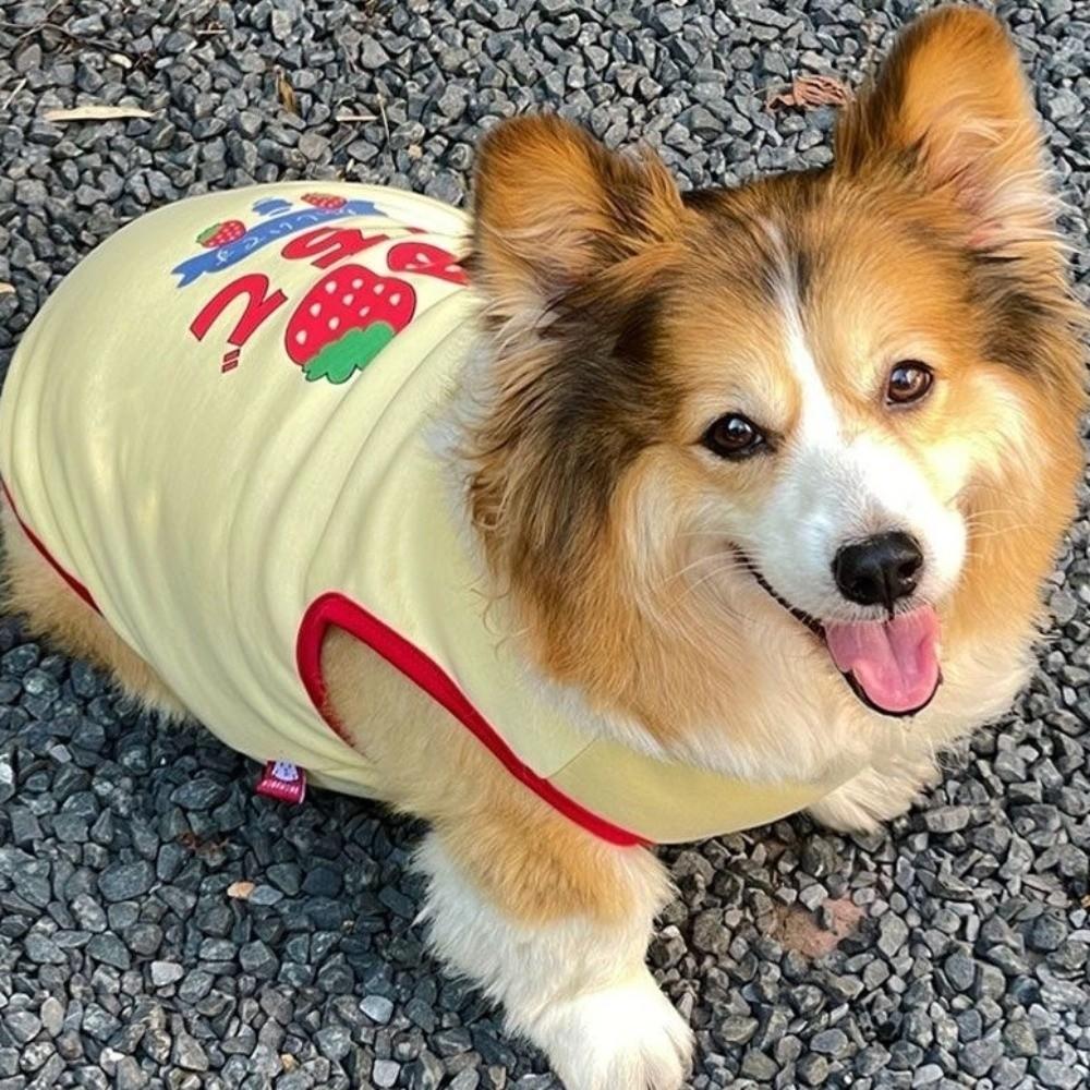 Breathable Dog Vest Strawberry Pattern Cooling Vest Cute Dog Tank Top Daily Wear