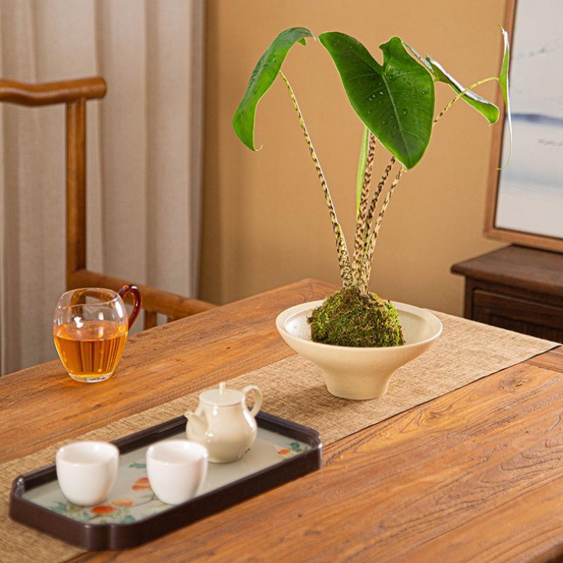 New Net Red Flower Pot Butterfly Orchid Wenzhu Bonsai Bamboo Ferns Hydroponic Utensils Orchid Simple Non Porous Flower Pot