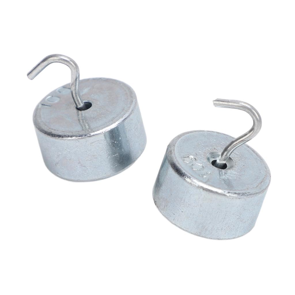 2pcs 10g Lab Hook Weight Chrome Plated Steel Double Hooked Weight with Case For General Science Phys