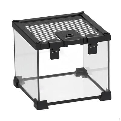 Mini Reptilien Terrarium Tank Schlangen Gehege Glas Lebensraum Käfig für Gottesanbeterin