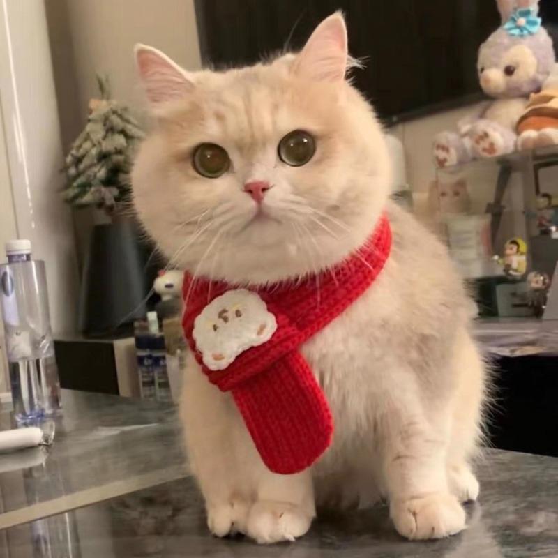 Cat Dog Scarf Cartoon Bear Print Warm Prevent Detachment Pet Neck Scarf for Small Dogs Puppy Kitten New Year's Christmas Gifts