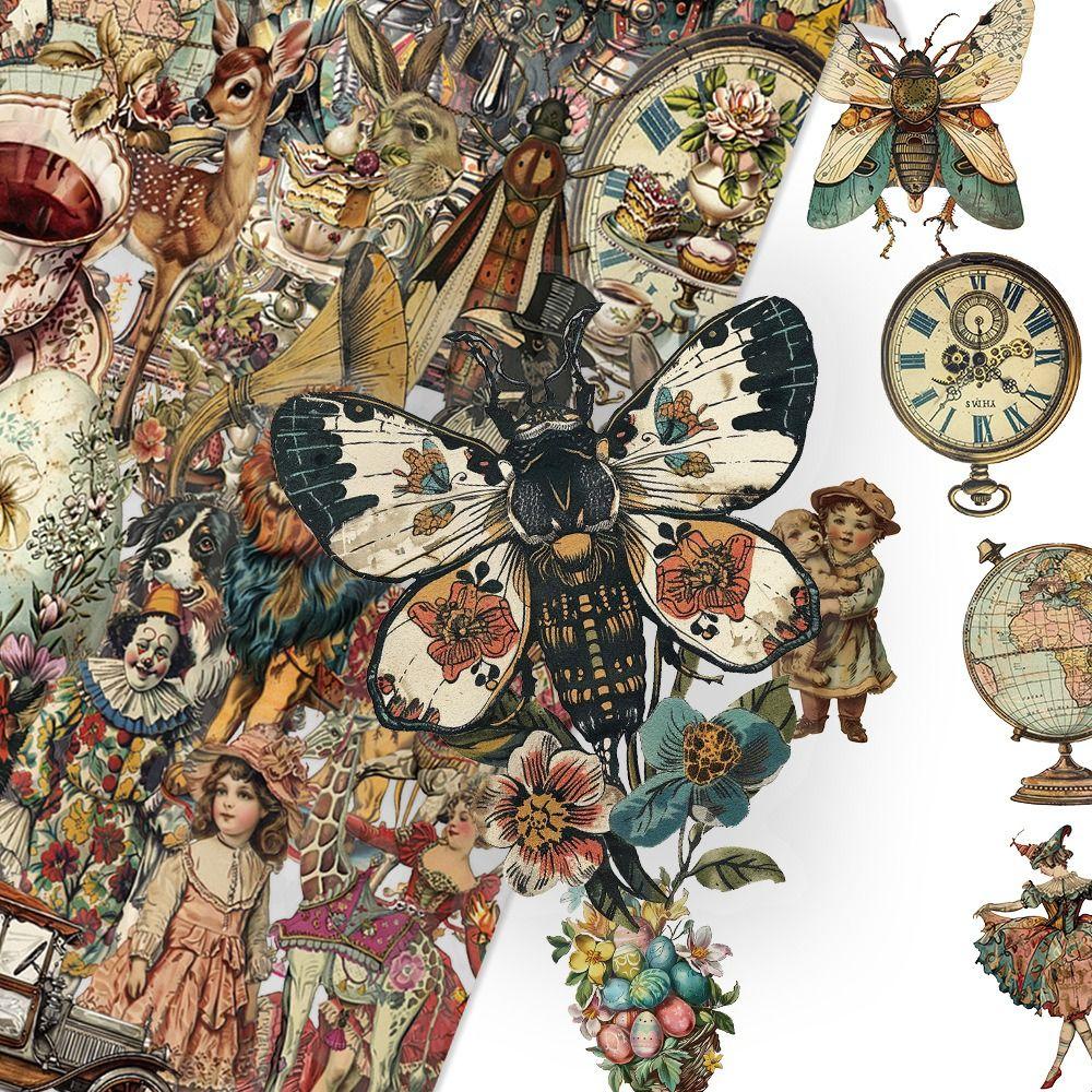 Waterproof Victoria Stickers 50PCS Pack Laptop Stickers Cute Cartoon Decals  Luggage Decoration