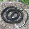 80CM Golf Snake Prank Leketøy Realistisk gummi Slange Modell Simulert Slange Erting Venner Vanskelige rekvisitter Barn Voksne Halloween Party Gag Gave
