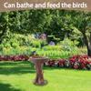 Simulation Bird Bath Cute Yard Landscape Ornament Puppy Raccoon Sculptures  Garden Decor