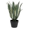 KUNSTPFLANZE Agave Americana 35x55 im Topf