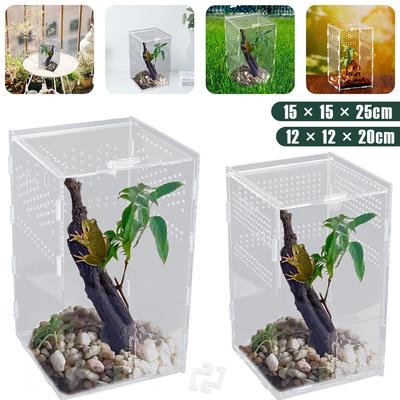 Terrário para Répteis Recinto Acrílico Habitat para Répteis Terrário Caixa de Criação Transparente Habitat para Aranha Escorpião Dragão Barbudo
