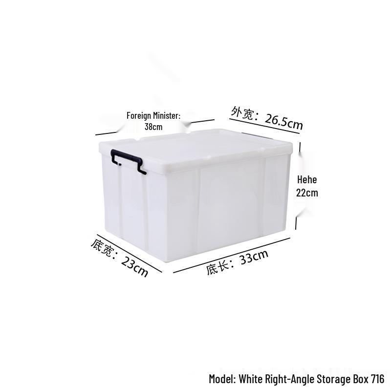 Large Transparent Handheld Food-Grade Storage Box