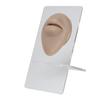 Silicone Lips Model 3D High Simulation Lifelike Elastic Lip Piercing Tattoo Practice Fake Lip Model for Training