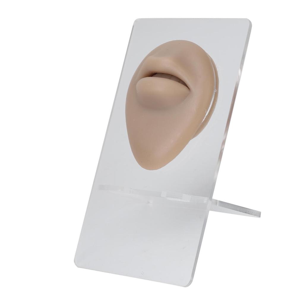 Silicone Lips Model 3D High Simulation Lifelike Elastic Lip Piercing Tattoo Practice Fake Lip Model for Training
