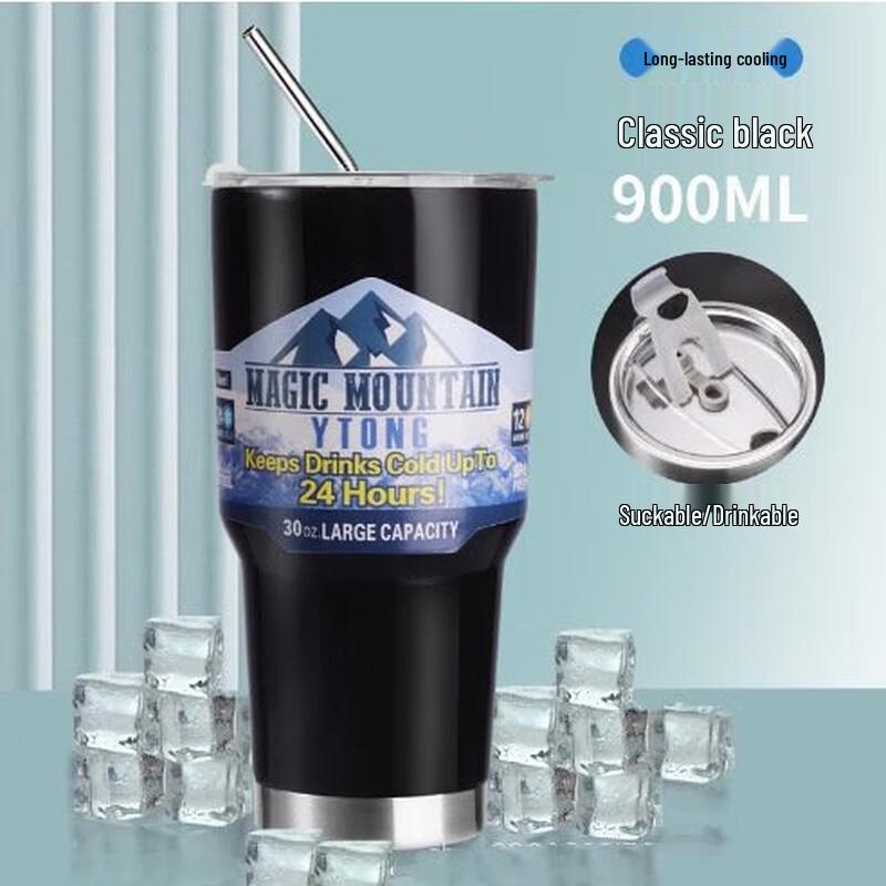 Stainless Steel Insulated Water Bottle with Straw