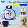 Disney 316 SS Kids Insulated Straw Bottle