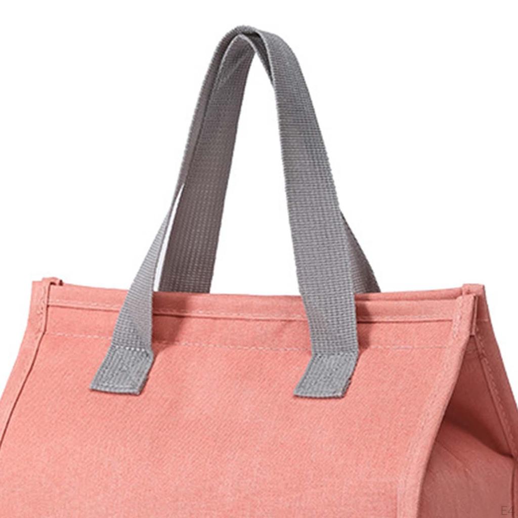 Insulated Lunch Box Leakproof Cooler Container Portable Tote Bag for Beach