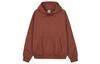 Sweatshirts Men's Red Brown Hooded Moderate Regular CW4490-670