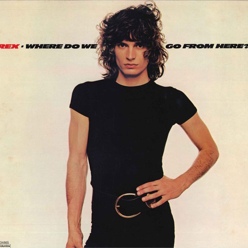 

LP Пластинка REX - Куда мы пойдем отсюда PC34865 COLUMBIA 1977 США Рок Б/У
