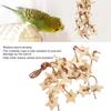 Bird Wood Star Toy Bite Resistant   Wood Star Chewing Toy for Budgies Parakeet Cockatiel Lovebird